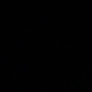 Meet your Posher, Sabur